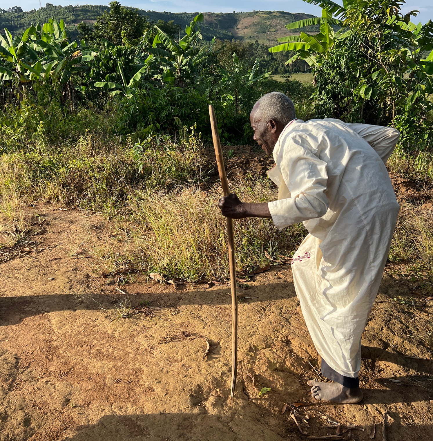 Elder with walking stick